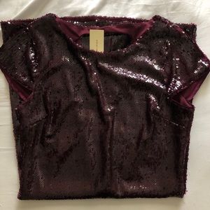NWT Sparkly Purple Dress